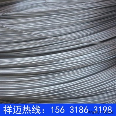 廠家供應鍍鋅絲 電鍍鋅絲 PVC包塑鐵絲 園林工藝絲 批發價格