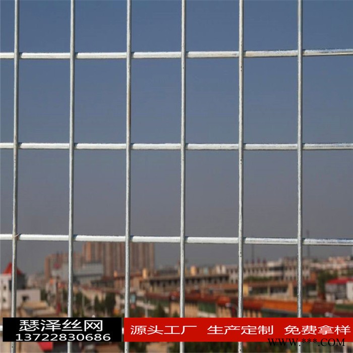 點焊異型網片電鍍網片 熱度網片 防護網片 防爬網片  圍欄網片 隔離網片 護欄異形網片  量大從優