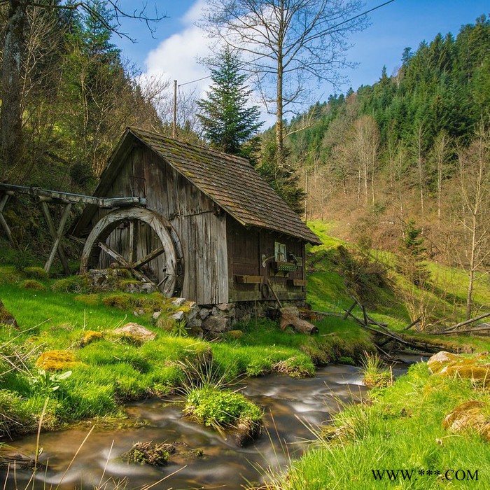 【萬水化工商城】德國原裝進口 浮型馬蹄蓮銀粉3070 鋁粉鋁銀粉 粉末涂料油墨塑膠銀粉