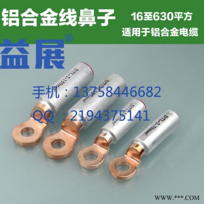DTL-10mm2銅鋁鼻子 銅鋁過渡接線端子 鋁線電纜接頭 堵油接線鼻