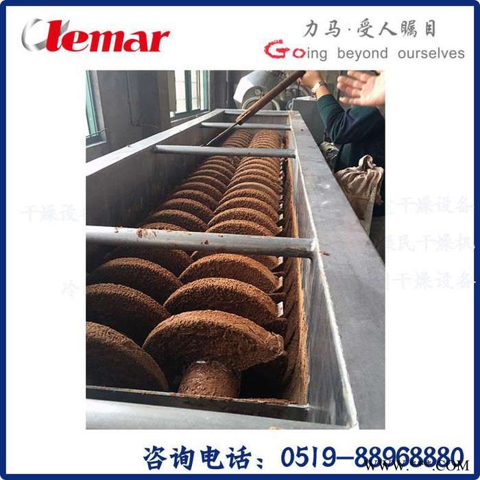 常州力馬-空心槳葉干燥機、5~10t/h油泥槳式干化機、高純超細氧化鋁雙槳葉干燥機KJG-40