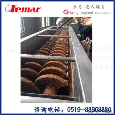 常州力馬-空心槳葉干燥機、5~10t/h油泥槳式干化機、高純超細氧化鋁雙槳葉干燥機KJG-40