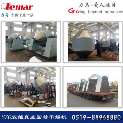 氧化鋁載體球300kg/批全襯搪瓷雙錐回轉真空干燥機、低溫干燥機ZPG-4000、ZPG-500