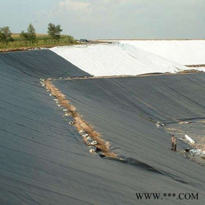 1.5mm城建標土工膜 HDPE土工膜 滲濾液調節池2mm土工膜 垃圾填埋場土工膜 防滲土工膜 氧化鋁赤泥大壩防滲膜