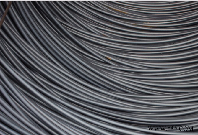 寶鋼SAE1010 美標盤條球化磷化加工