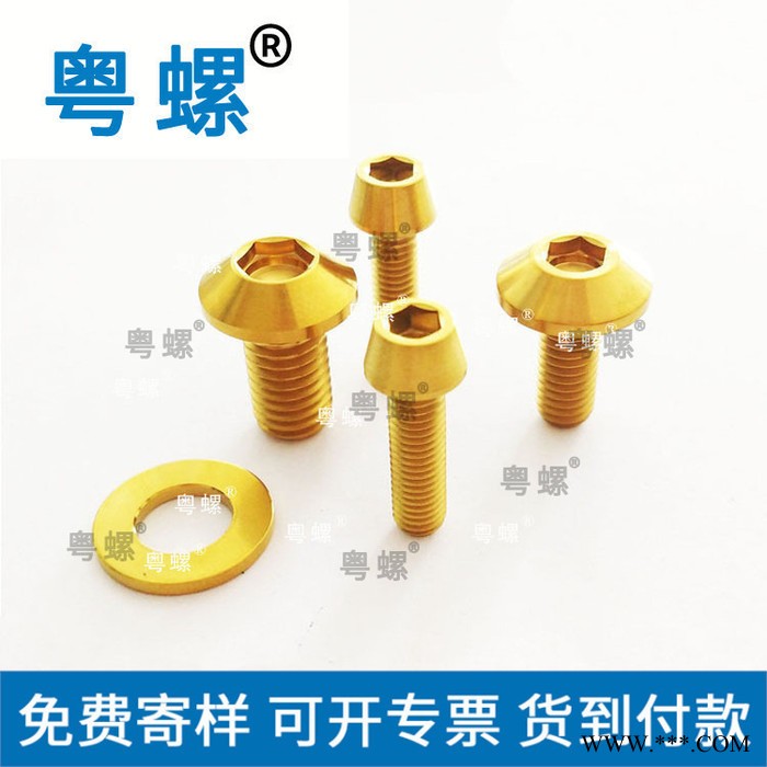 圓柱頭內(nèi)六角鈦螺栓 粵螺氮化陽極氧化處理各種顏色魚尾螺絲 汕頭不銹鋼螺絲廠 小螺絲