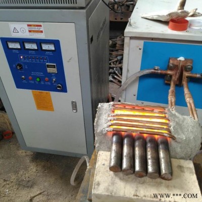 德勝牌螺栓紅沖透熱  螺栓螺母熱處理設(shè)備 螺栓螺母熱墩設(shè)備 透熱鍛造爐