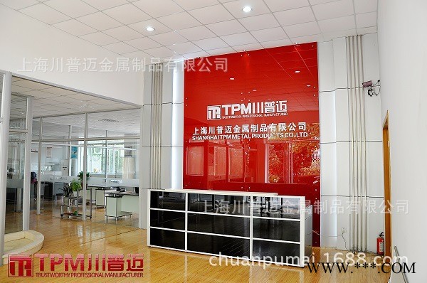 工業(yè)鋁型材 鋁擠壓型材歐標(biāo)鋁型材6063 TPM-6-2040 現(xiàn)貨