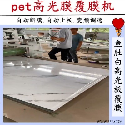 氣動(dòng)熱壓 密度板貼膜機(jī) 鋁板貼面機(jī) 雙面涂膠多層膠合板貼面機(jī)