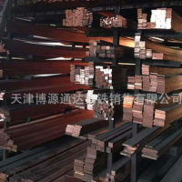 C1100紫銅排 t1 t2接地紫銅排40*4/50*5可定制切割打孔折彎