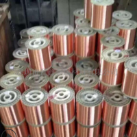 廠家直銷C1100紫銅線 紫銅絲加工定制鍍錫紫銅線0.05-0.2 電源線